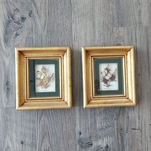 Dried flower/butterfly art